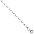 Selene 9ct white gold belcher chain necklace