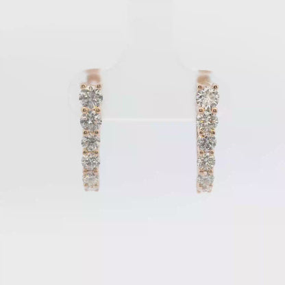 Daphne Hoop Earrings